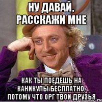 Ну давай, расскажи мне Как ты поедешь на каникулы бесплатно, потому что орг твои друзья