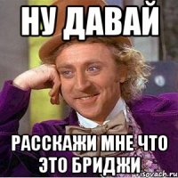 Ну давай расскажи мне что это бриджи