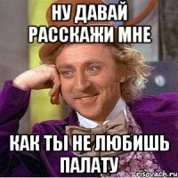 ну давай расскажи мне как ты не любишь Палату