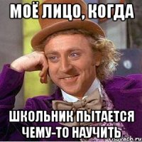 моё лицо, когда школьник пытается чему-то научить