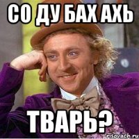 со ду бах ахь тварь?