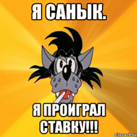 Я Санык. Я проиграл ставку!!!