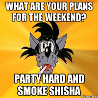 What are your plans for the weekend? Party hard and smoke shisha