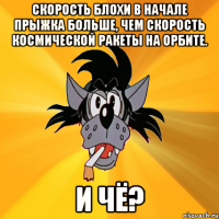 Скорость блохи в начале прыжка больше, чем скорость космической ракеты на орбите. и Чё?