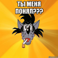 ты меня понял??? 