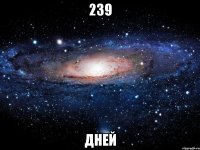 239 дней