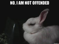 No, I am not offended 