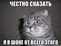 честно сказать я в шоке от всего этого