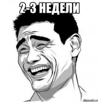 2-3 недели 