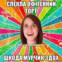 Спекла офігенний торт Шкода Мурчик здох