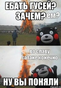 ебать гусей? зачем? ну вы поняли