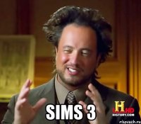  Sims 3