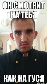 Он смотрит на тебя Как на гуся