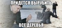 Придётся вырубить все деревья