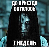 до приезда осталось 7 недель