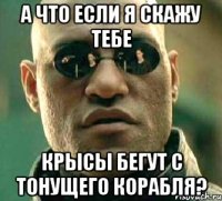 А что если я скажу тебе крысы бегут с тонущего корабля?