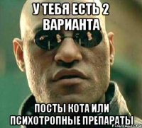 У тебя есть 2 варианта Посты Кота или психотропные препараты