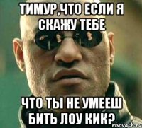 тимур,что если я скажу тебе что ты не умееш бить лоу кик?