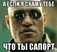 А если я скажу тебе что ты сапорт