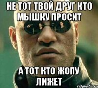 не тот твой друг кто мышку просит а тот кто жопу лижет