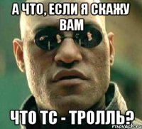 А что, если я скажу вам что тс - тролль?