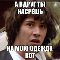 а вдруг ты насрёшь на мою одежду, кот