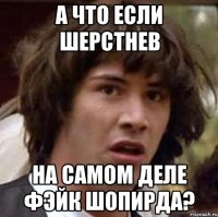 А ЧТО ЕСЛИ ШЕРСТНЕВ НА САМОМ ДЕЛЕ ФЭЙК ШОПИРДА?