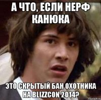 А что, если нерф Канюка Это скрытый бан охотника на Blizzcon 2014?