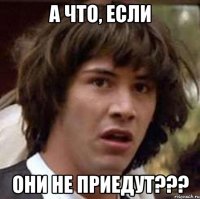 А что, если они не приедут???