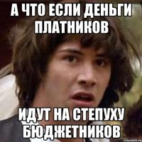 а что если деньги платников идут на степуху бюджетников