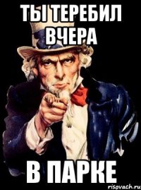 Ты теребил вчера в парке