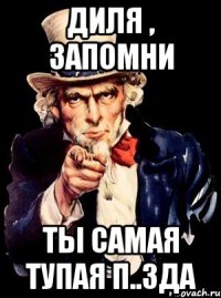 ДИЛЯ , ЗАПОМНИ Ты самая тупая п..зда