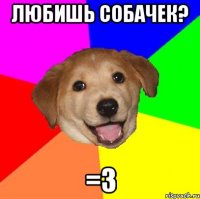 Любишь собачек? =3