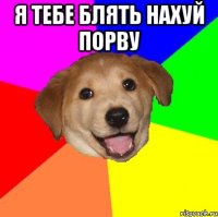 я тебе блять нахуй порву 