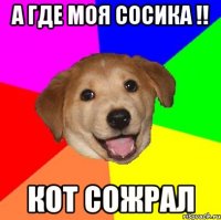 а где моя сосика !! кот сожрал