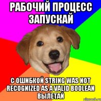 Рабочий процесс запускай С ошибкой String was not recognized as a valid Boolean вылетай