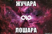 Жучара Лошара