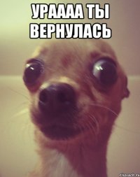 Ураааа ты вернулась 