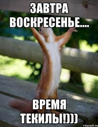 ЗАВТРА ВОСКРЕСЕНЬЕ.... ВРЕМЯ ТЕКИЛЫ!)))