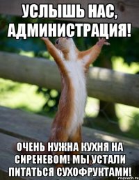 Услышь нас, администрация! Очень нужна кухня на Сиреневом! Мы устали питаться сухофруктами!