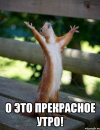  О это прекрасное утро!