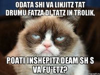 odata shi va linjitz tat drumu fatza di tatz in trolik, poati inshepitz deam sh s va fu*etz?