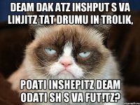 Deam dak atz inshput s va linjitz tat drumu in trolik, poati inshepitz deam odati sh s va fut!tz?