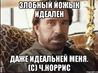 Злобный Йожык идеален Даже идеальней меня. (с) Ч.Норрис