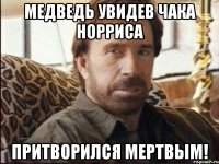 Медведь увидев Чака Норриса притворился мертвым!