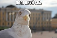Попробуй ска 