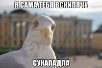 я сама тебя вскипячу сукападла