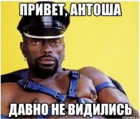 Привет, Антоша Давно не видились