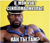 О, мой Куат Сейпiлмаликулы! Как ты там?