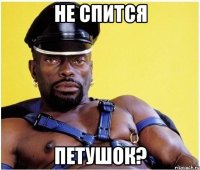 НЕ СПИТСЯ ПЕТУШОК?